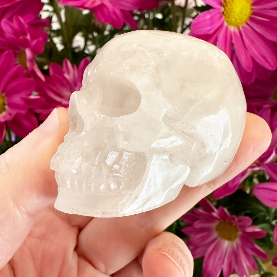 Quartz Crystal Skull Small