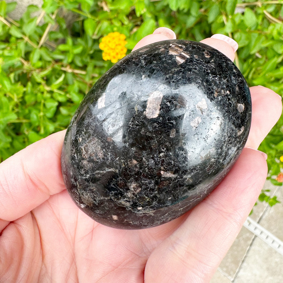 Coppernite Palm Stone