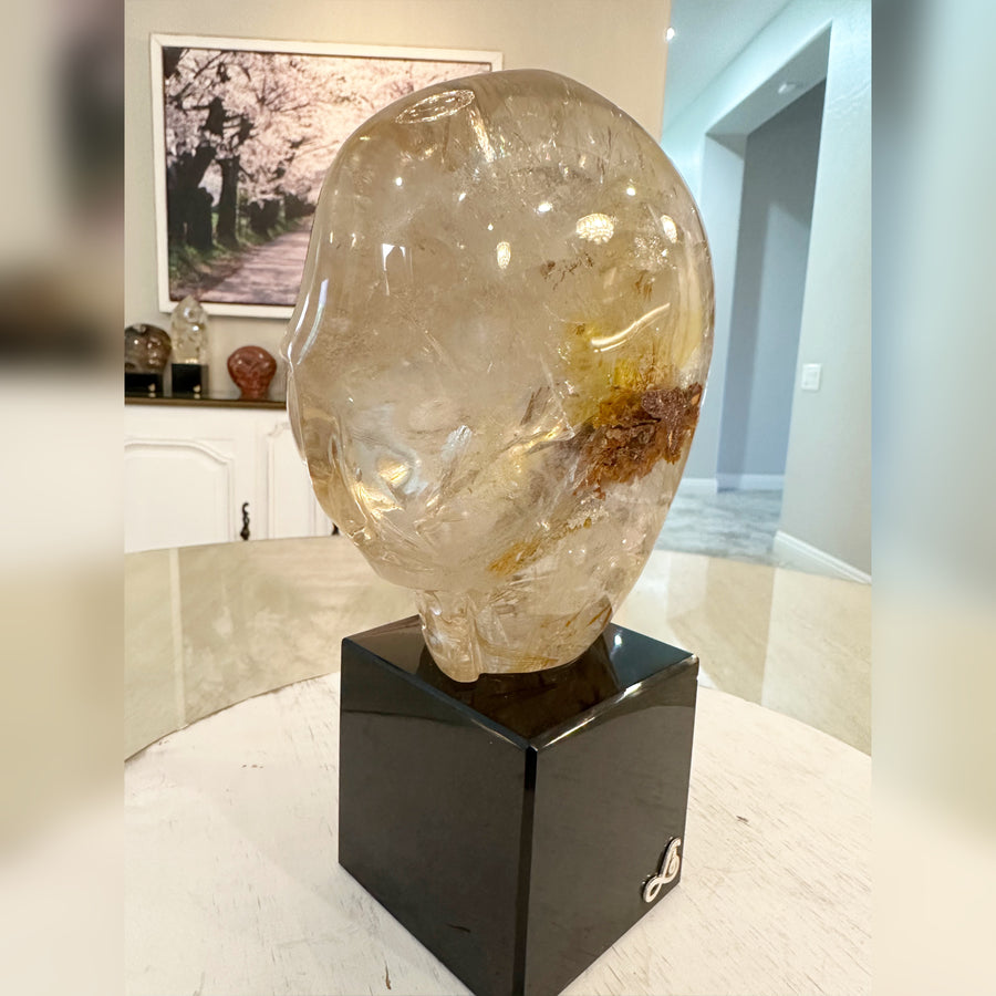 Circle 100-1 Rutile Shaman Quartz Magical Child Master Crystal Skull Carved by Leandro de Souza