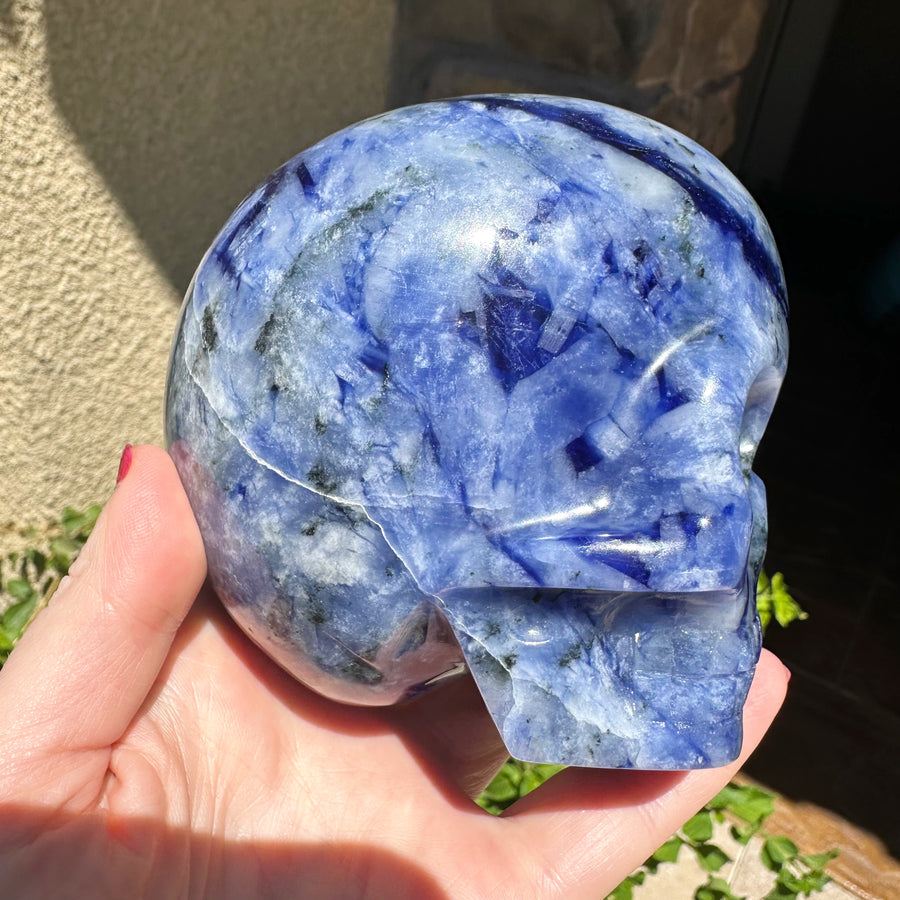 Sodalite Magical Child Crystal Skull Carved by Leandro de Souza
