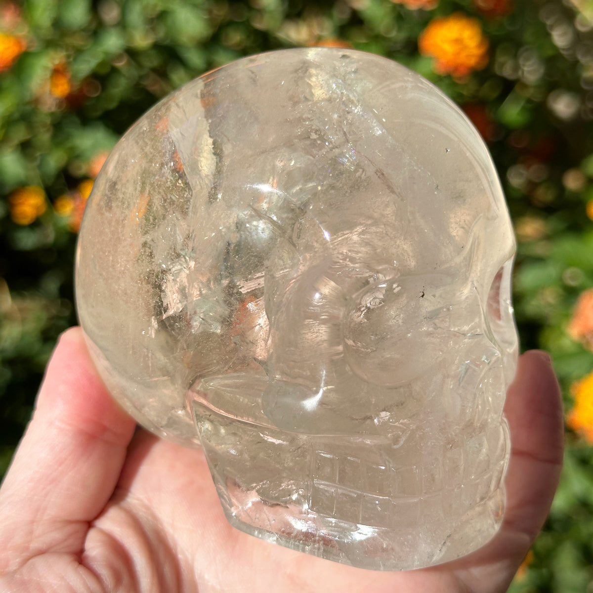 Lemurian Crystal Skull with Rainbows Carved by Leandro de Souza