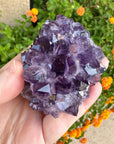 Amethyst Geode Raw