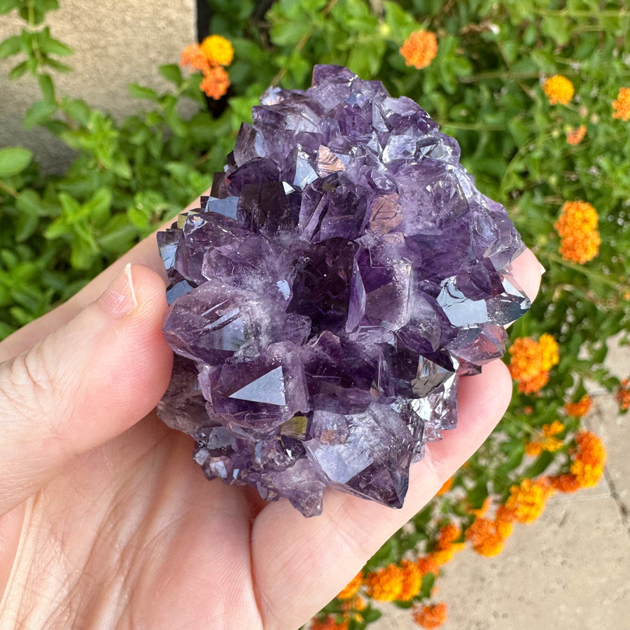 Amethyst Geode Raw