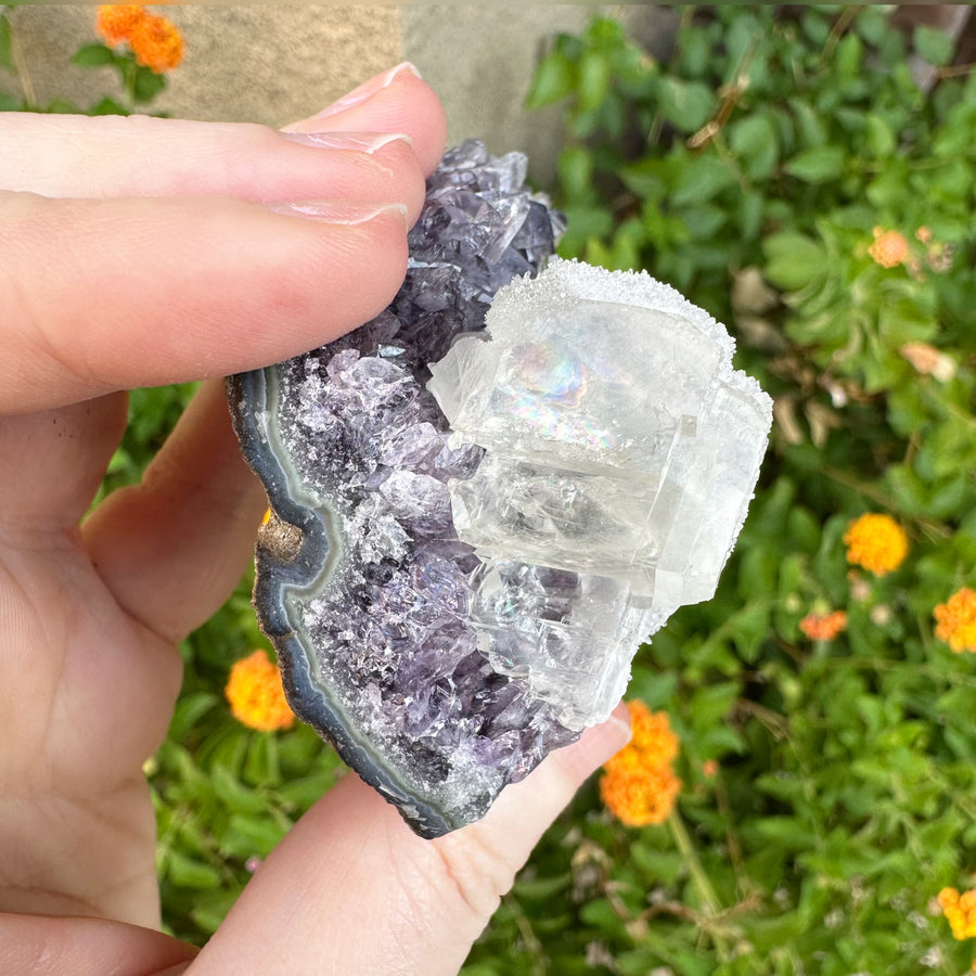 Amethyst Geode Raw With Clear Quartz Crystals and Rainbows