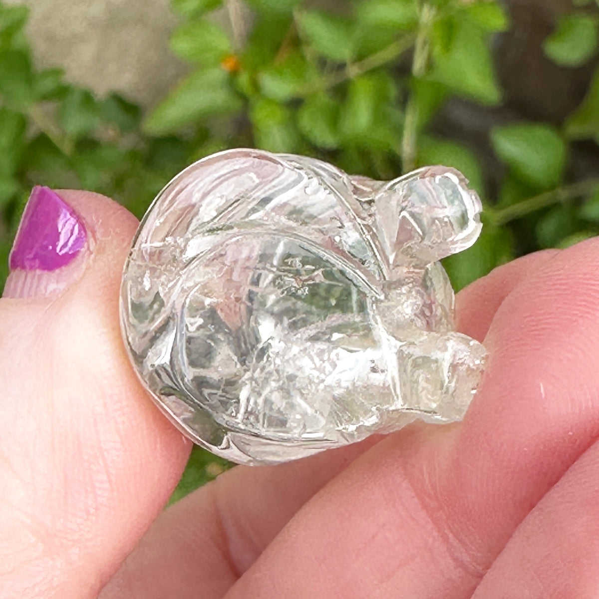 Sirius Quartz Crystal Puppy Carved by Leandro de Souza
