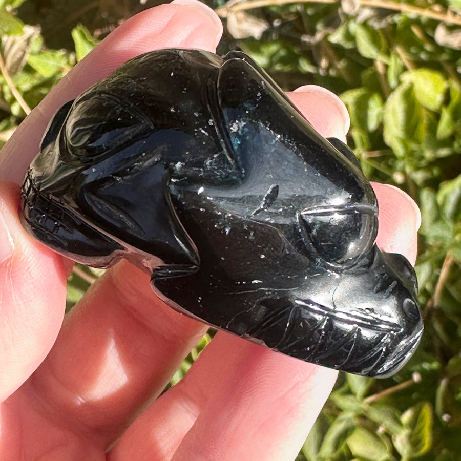 Rare Black and Green Tourmaline Phoenix by Leandro de Souza