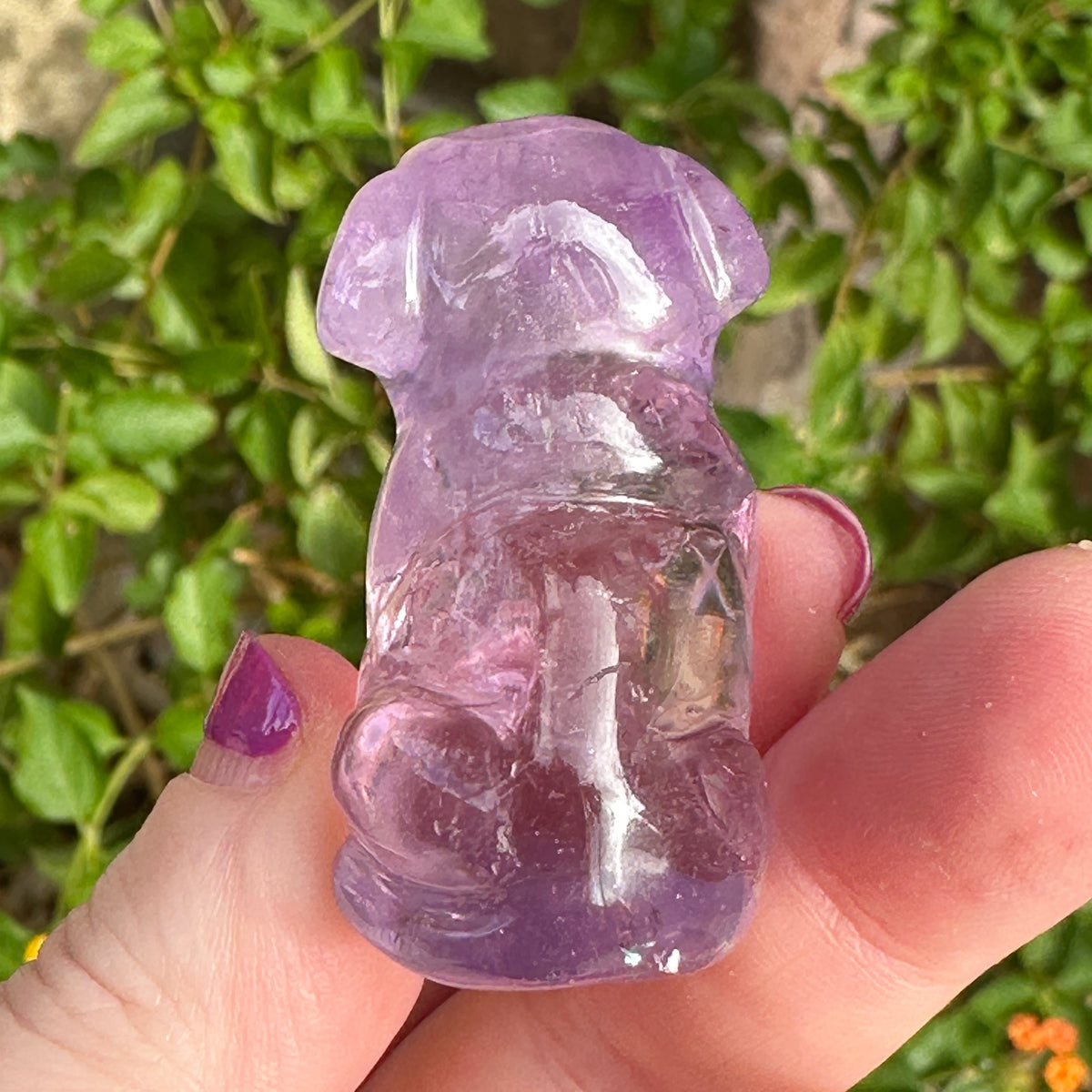 Amethyst Crystal Puppy Carved by Leandro de Souza