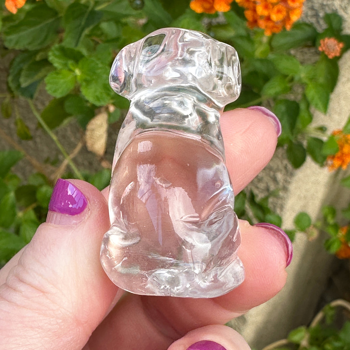Sirius Quartz Crystal Puppy Carved by Leandro de Souza
