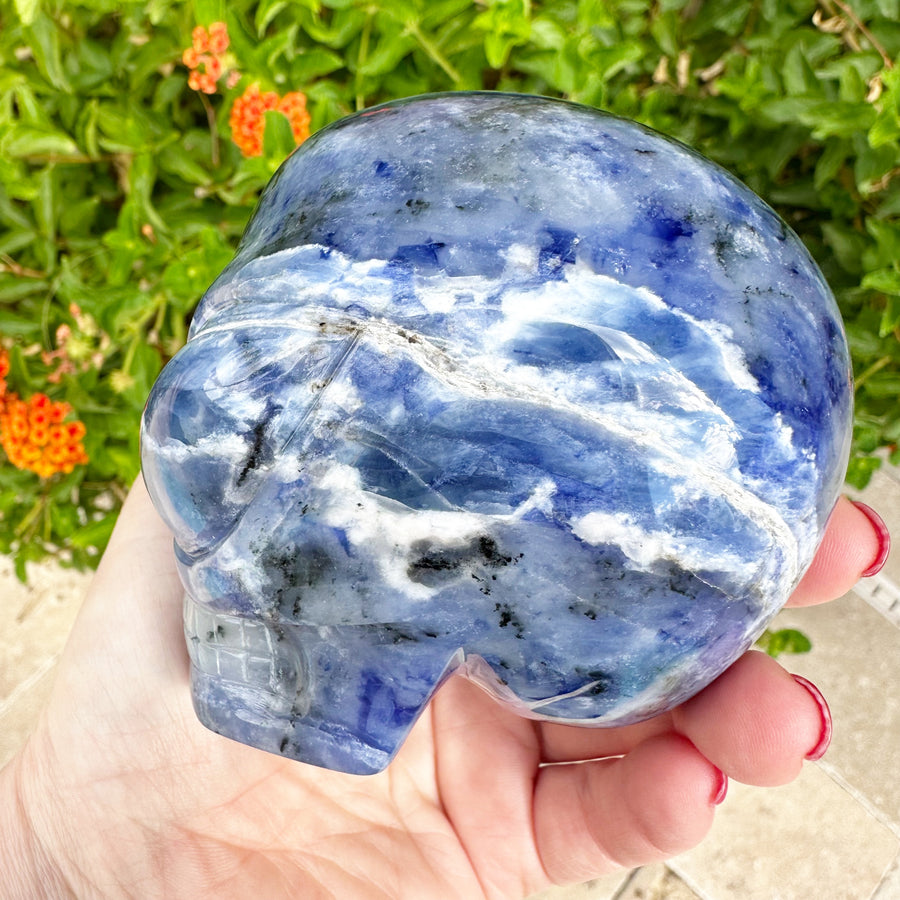 Sodalite Star Child Crystal Skull Carved by Leandro de Souza