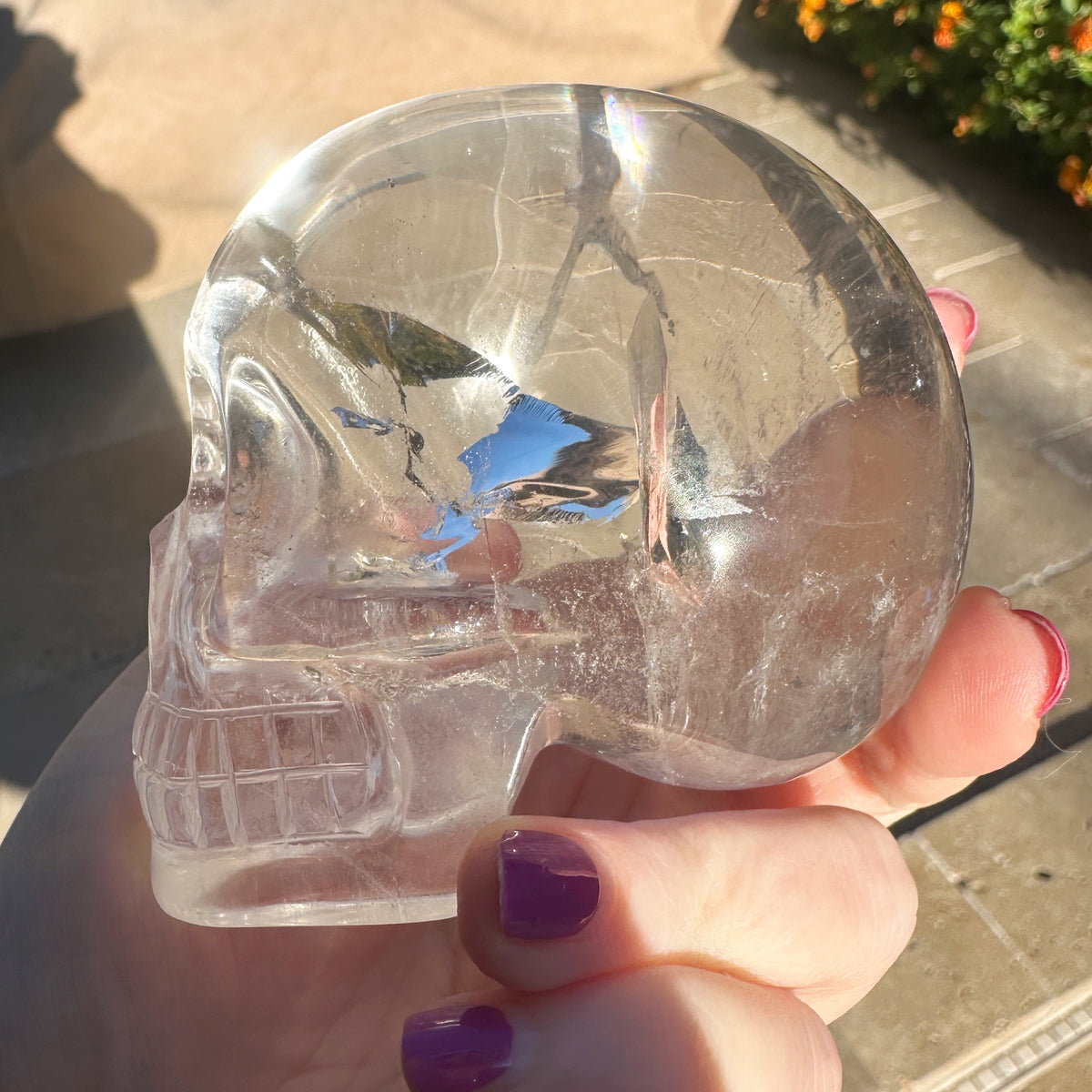 Clear Sirius Quartz Crystal Skull with Rainbows Carved by Leandro de Souza