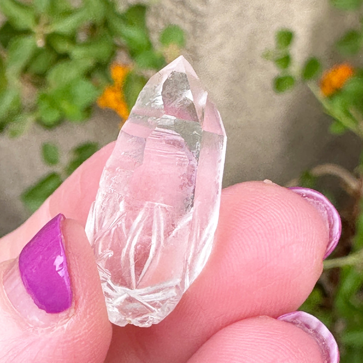 Sirius Quartz Crystal Mini Dragon Carved by Leandro de Souza