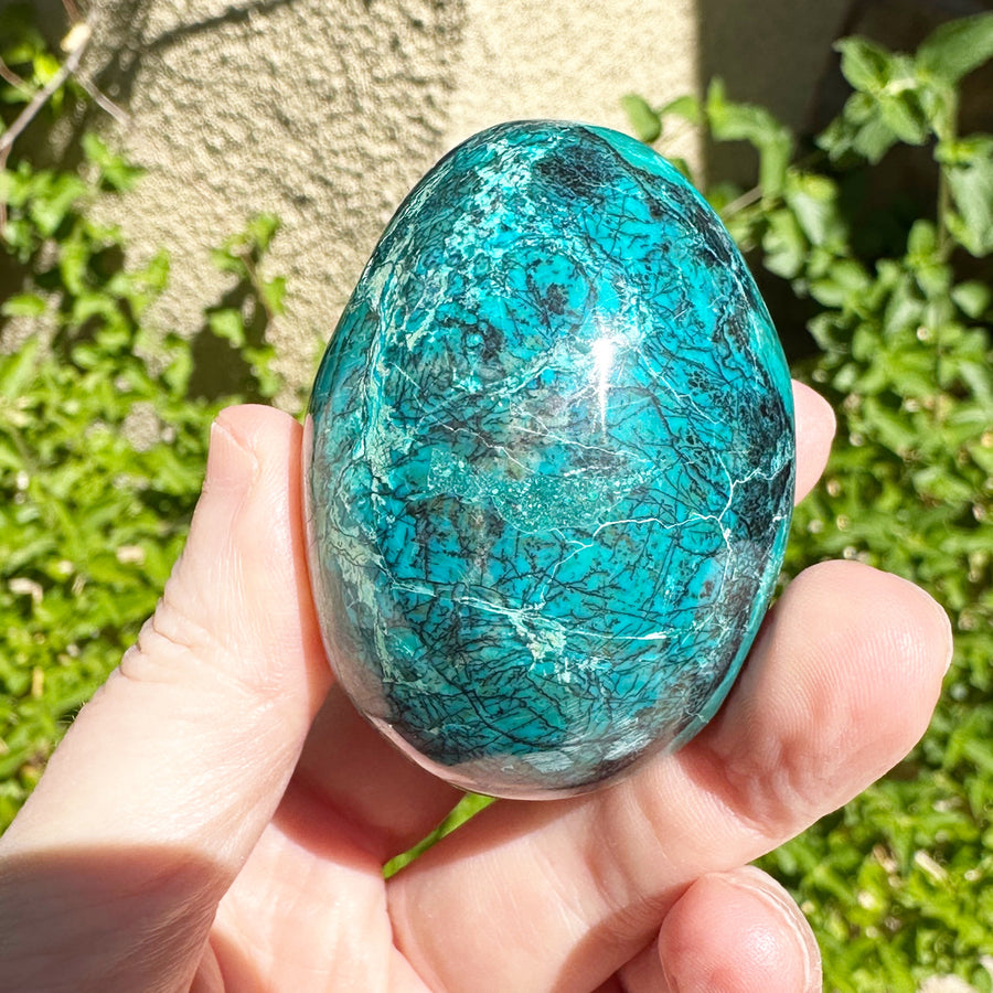 Chrysocolla Egg from Peru High Grade