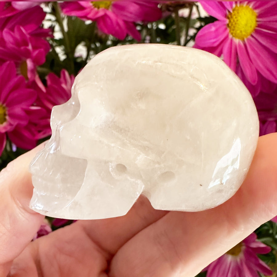 Quartz Crystal Skull Small