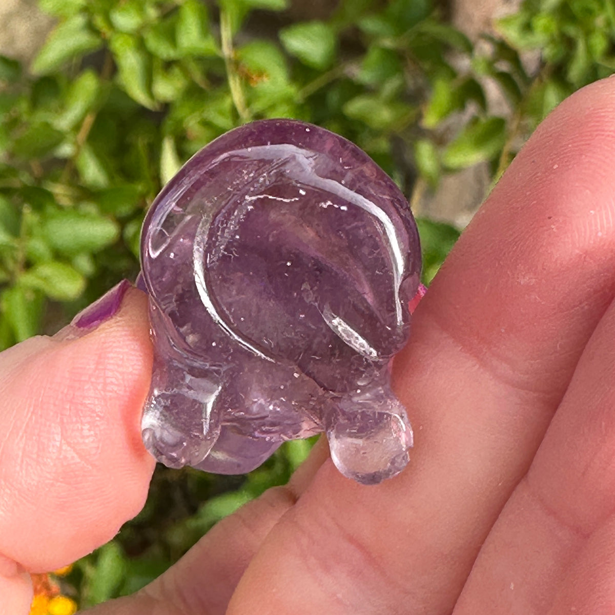 Amethyst Crystal Puppy Carved by Leandro de Souza