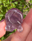 Amethyst Crystal Puppy Carved by Leandro de Souza