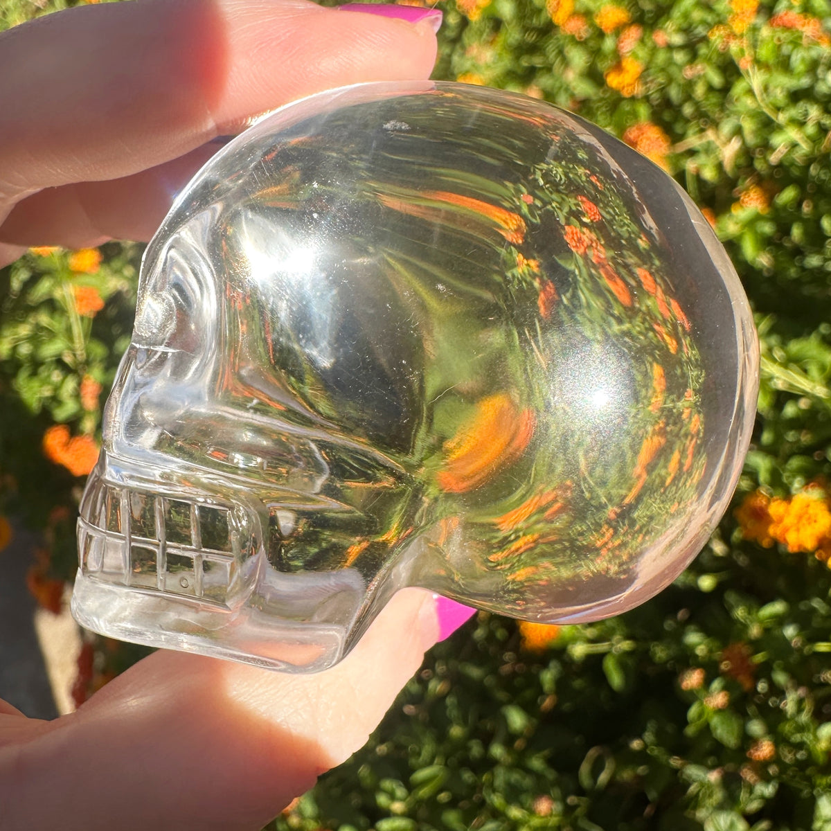 Ultra Clear Sirius Quartz Crystal Skull Carved by Leandro de Souza