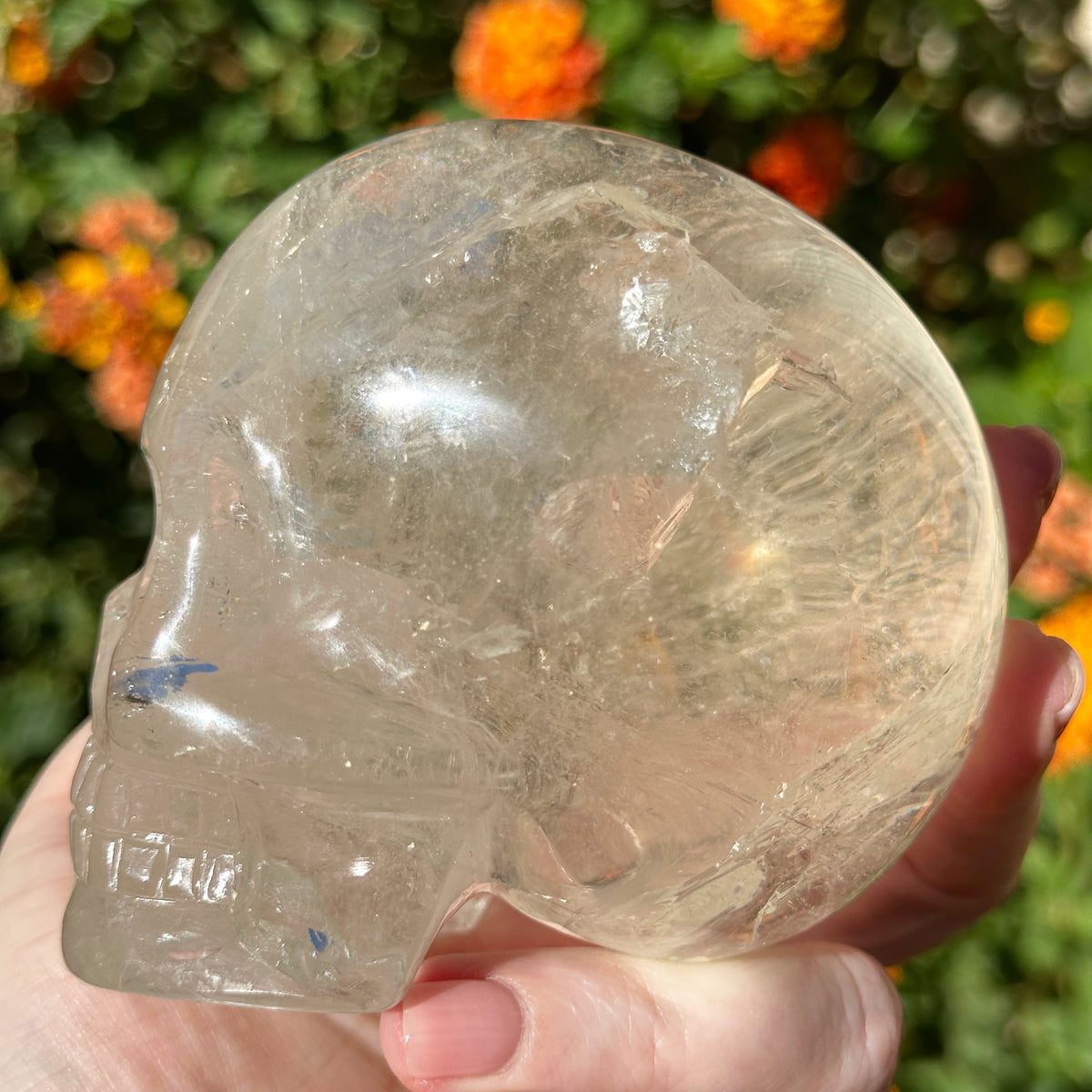 Lemurian Crystal Skull with Rainbows Carved by Leandro de Souza