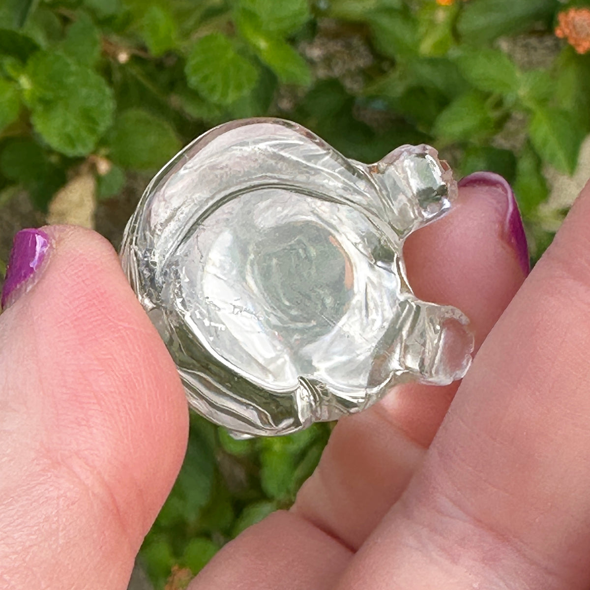 Sirius Quartz Crystal Puppy Carved by Leandro de Souza