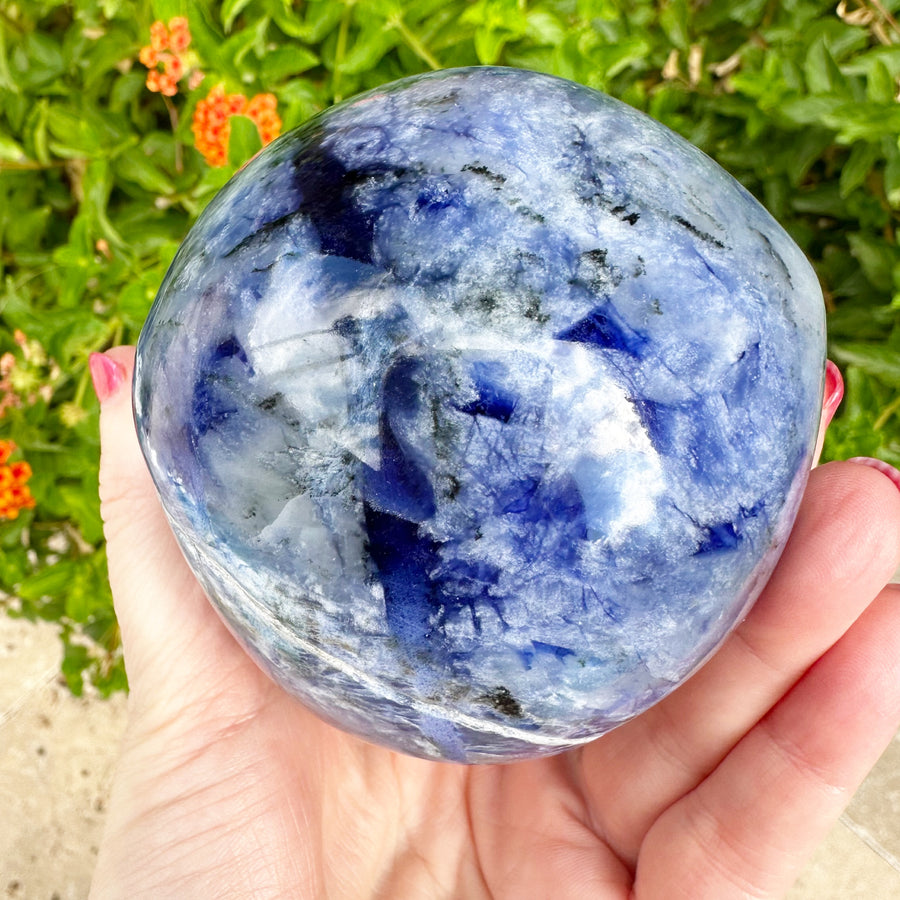 Sodalite Star Child Crystal Skull Carved by Leandro de Souza