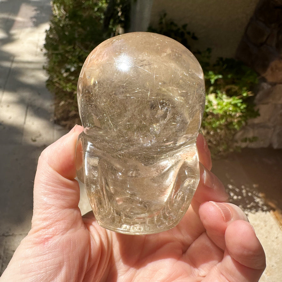 Golden Rutile Citrine Crystal Skull With Rainbows Carved by Leandro de Souza