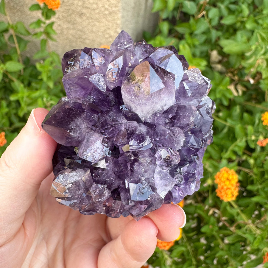 Amethyst Geode Raw Flower