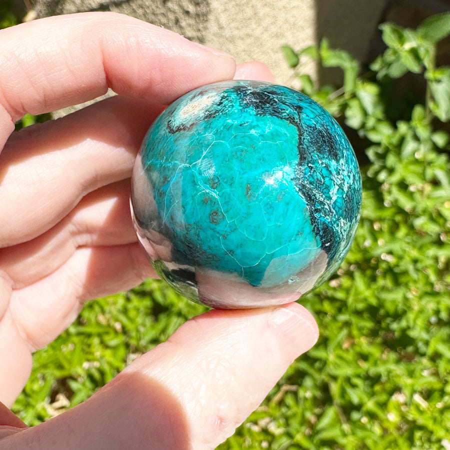 Chrysocolla Egg from Peru High Grade