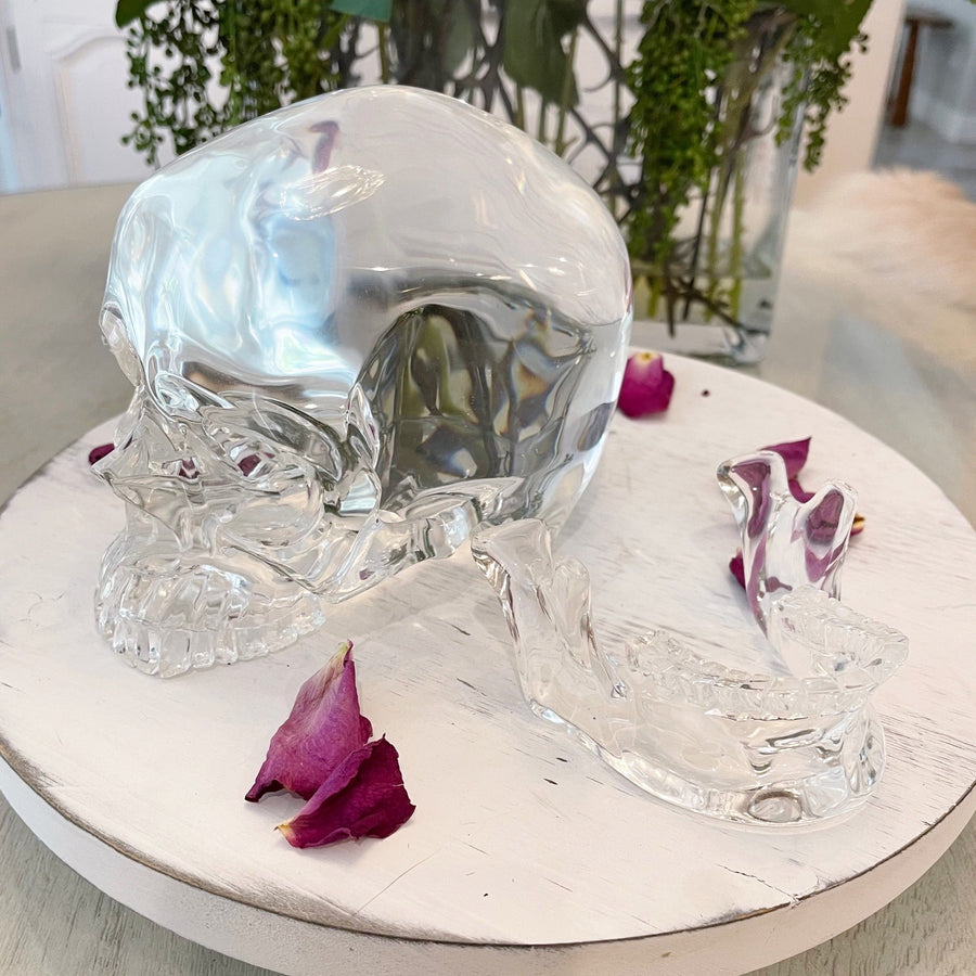 Water Clear Lab Quartz Crystal Skull Master with Detachable Jaw