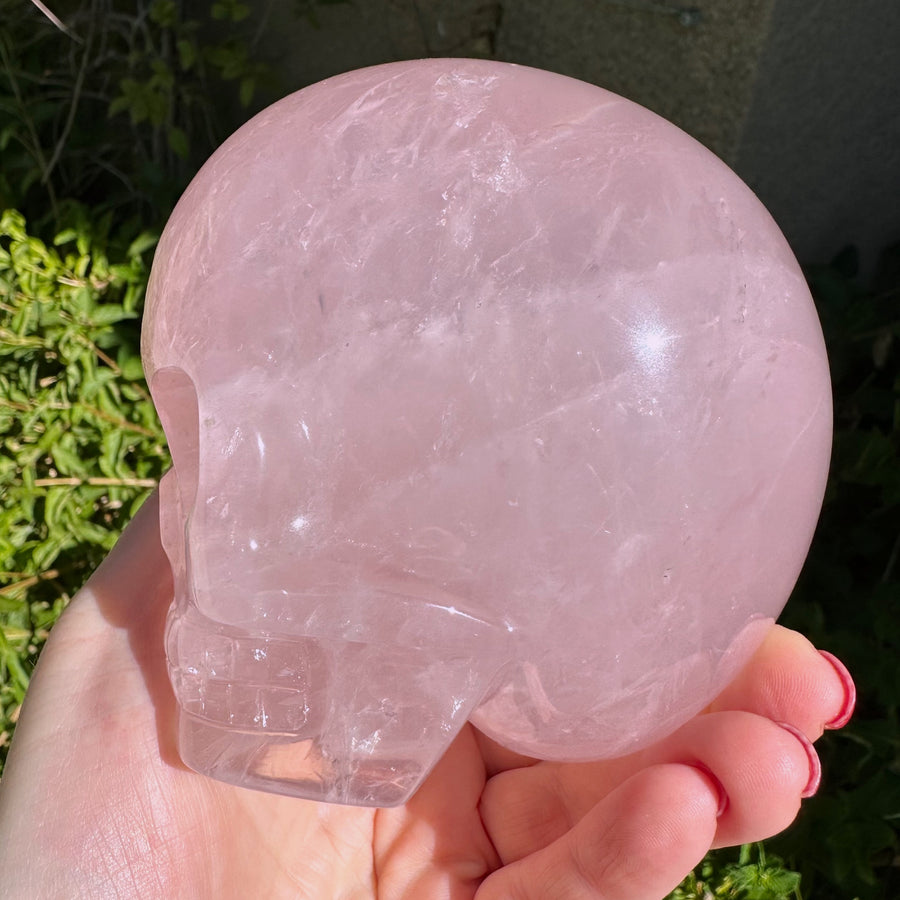 Star Rose Quartz Magical Child Crystal Skull With Heart Carved by Leandro de Souza