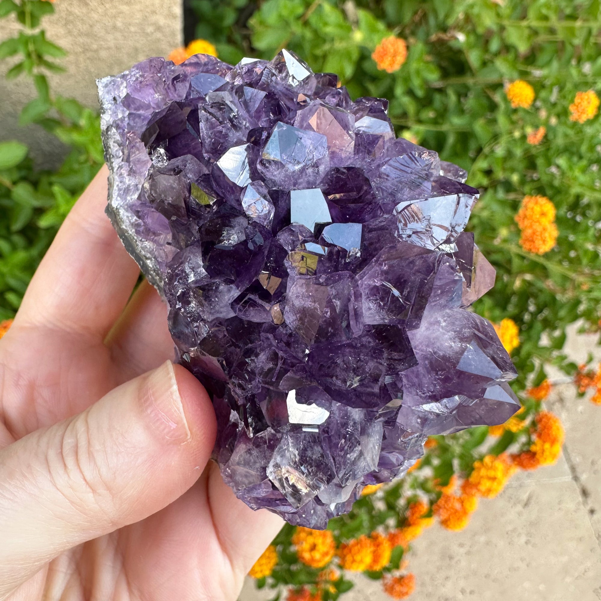 Amethyst Geode Raw