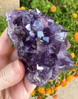 Amethyst Geode Raw