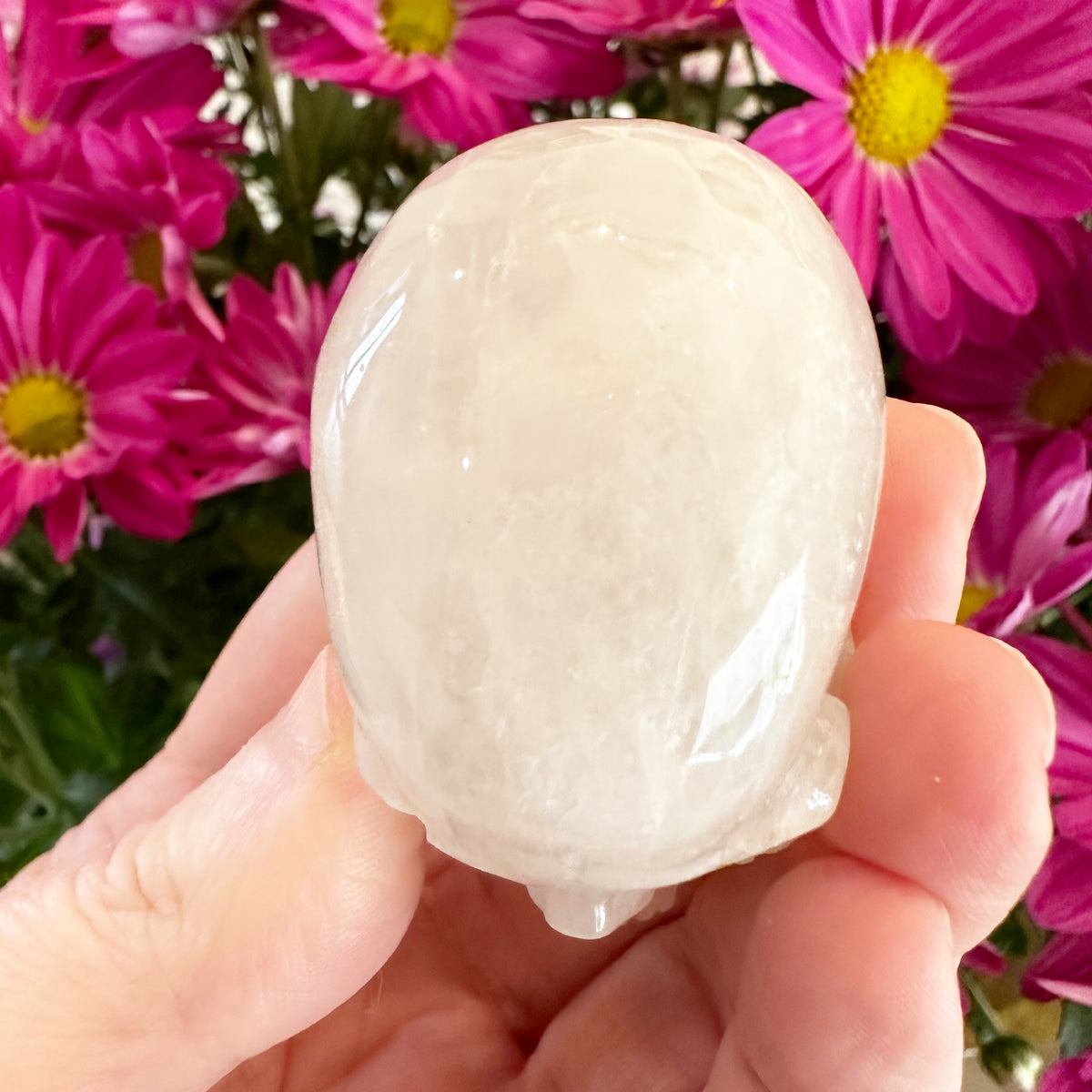 Quartz Crystal Skull Small