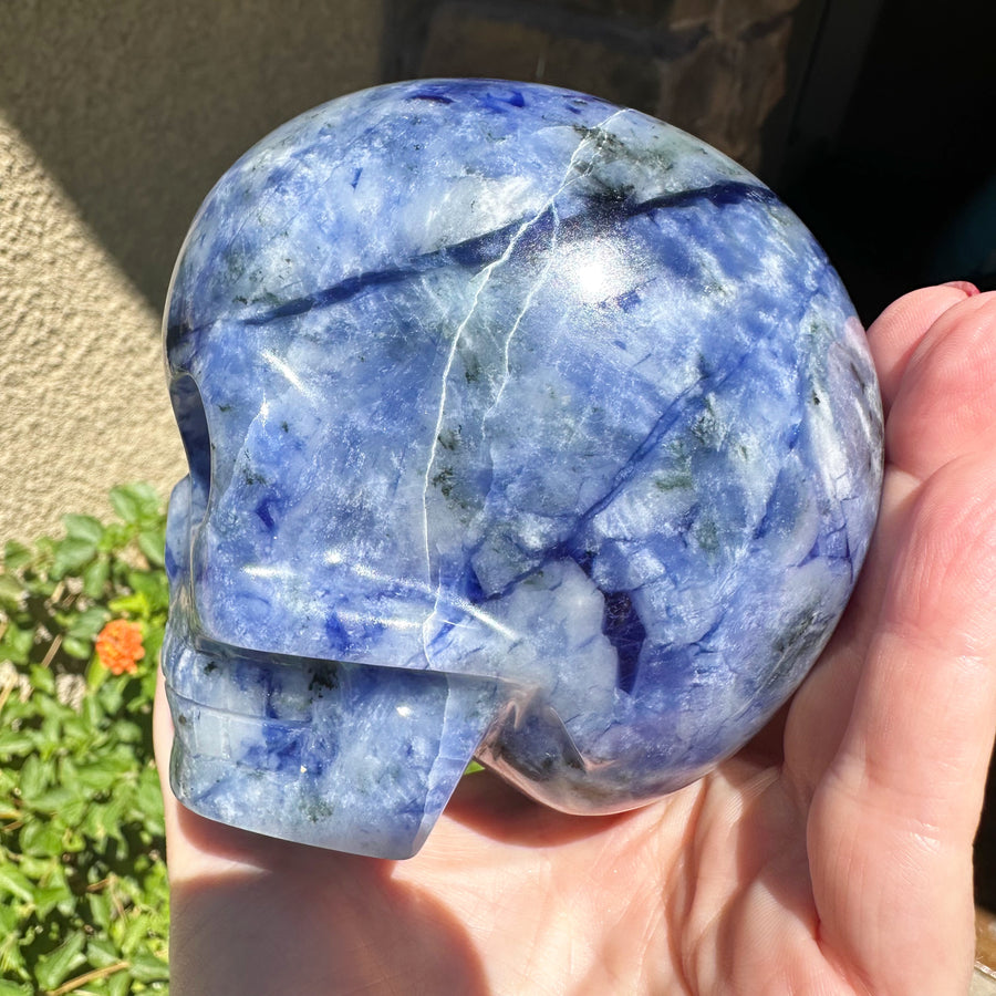 Sodalite Magical Child Crystal Skull Carved by Leandro de Souza