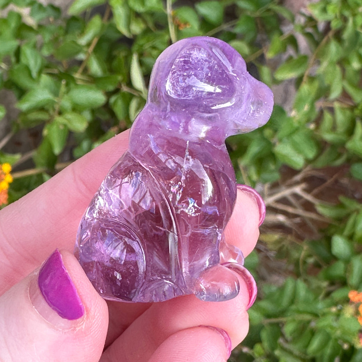 Amethyst Crystal Puppy Carved by Leandro de Souza