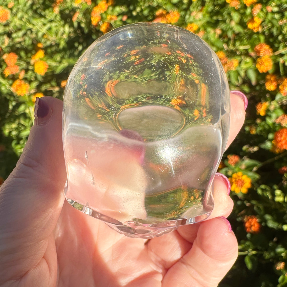 Ultra Clear Sirius Quartz Crystal Skull Carved by Leandro de Souza