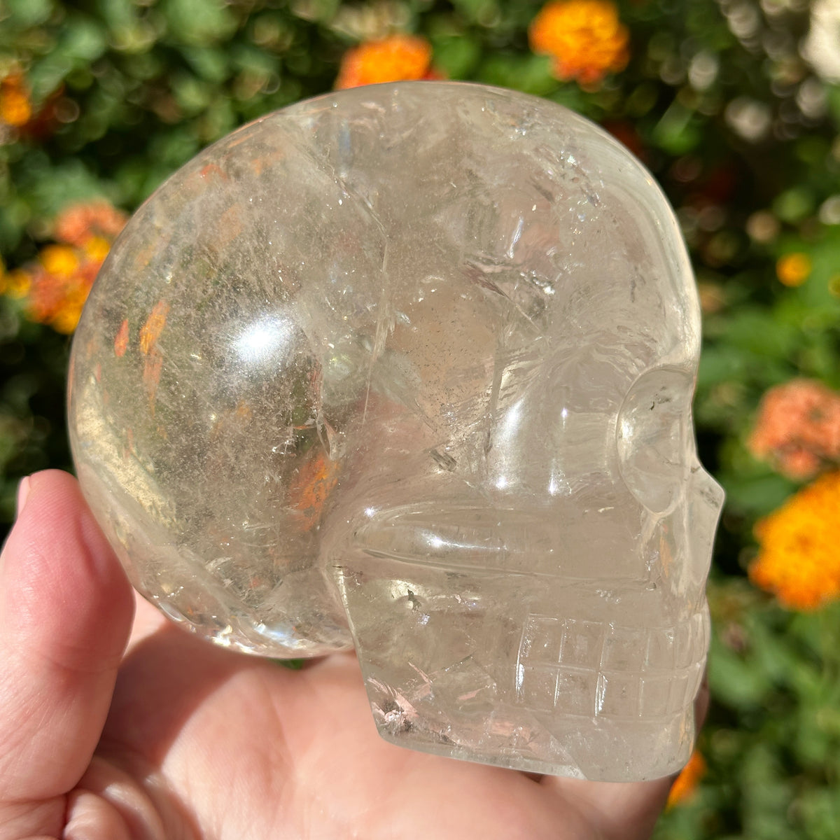 Lemurian Crystal Skull with Rainbows Carved by Leandro de Souza