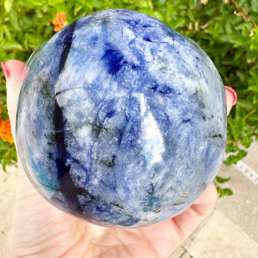 Sodalite Star Child Crystal Skull Carved by Leandro de Souza