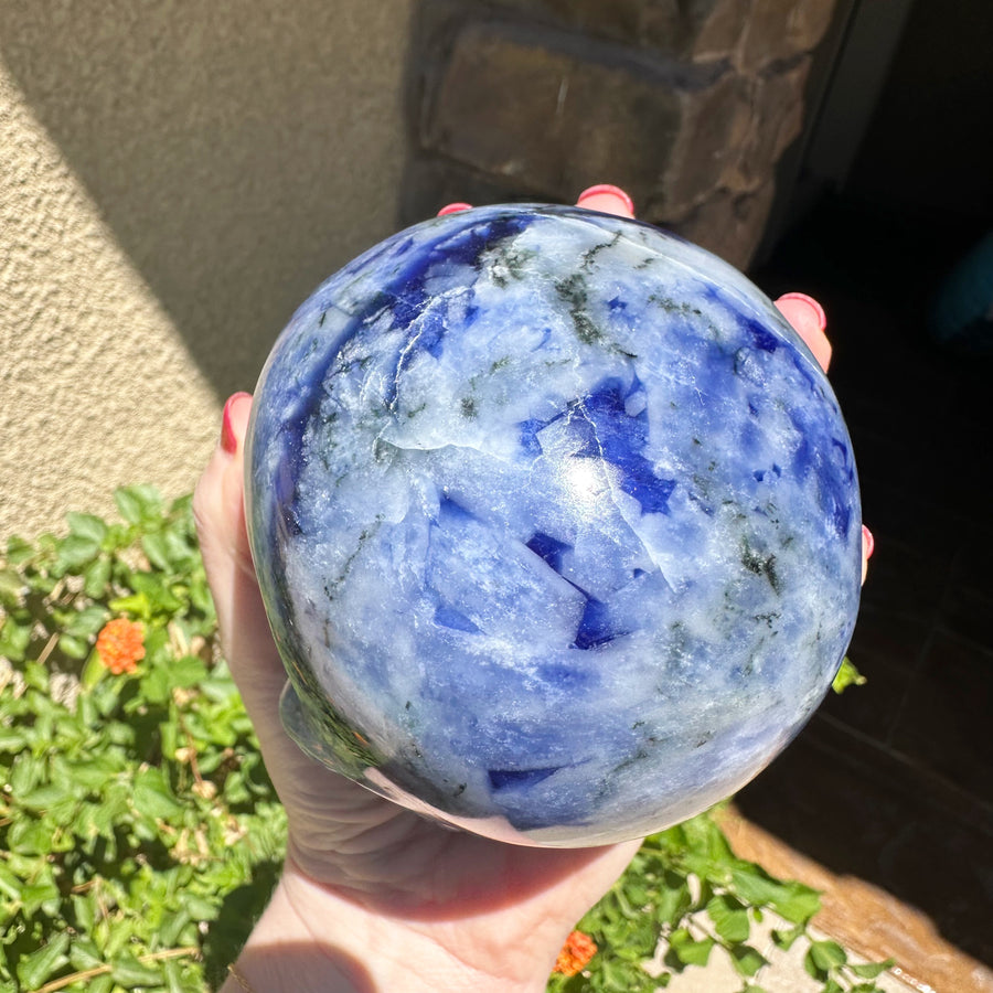 Sodalite Magical Child Crystal Skull Carved by Leandro de Souza