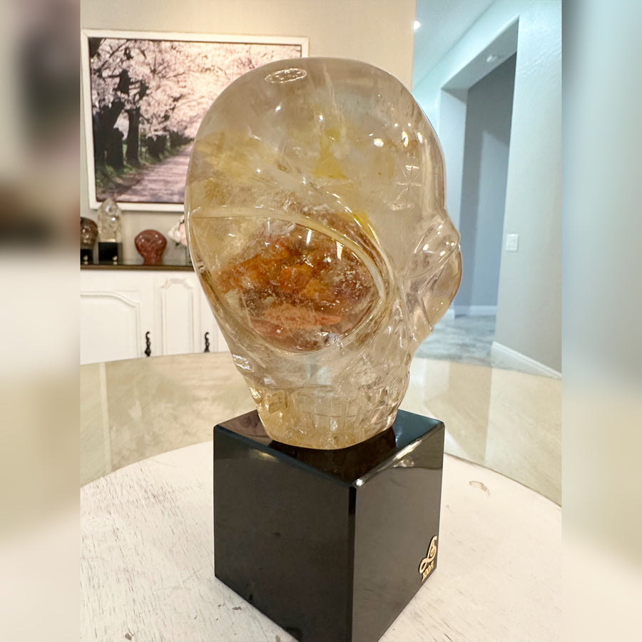 Circle 100-1 Rutile Shaman Quartz Magical Child Master Crystal Skull Carved by Leandro de Souza