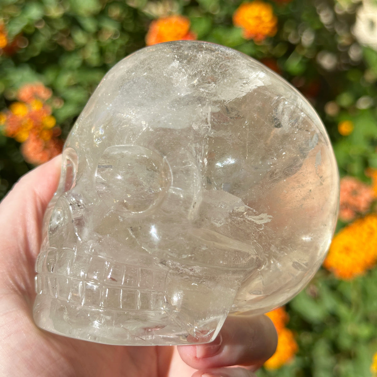 Lemurian Crystal Skull with Rainbows Carved by Leandro de Souza
