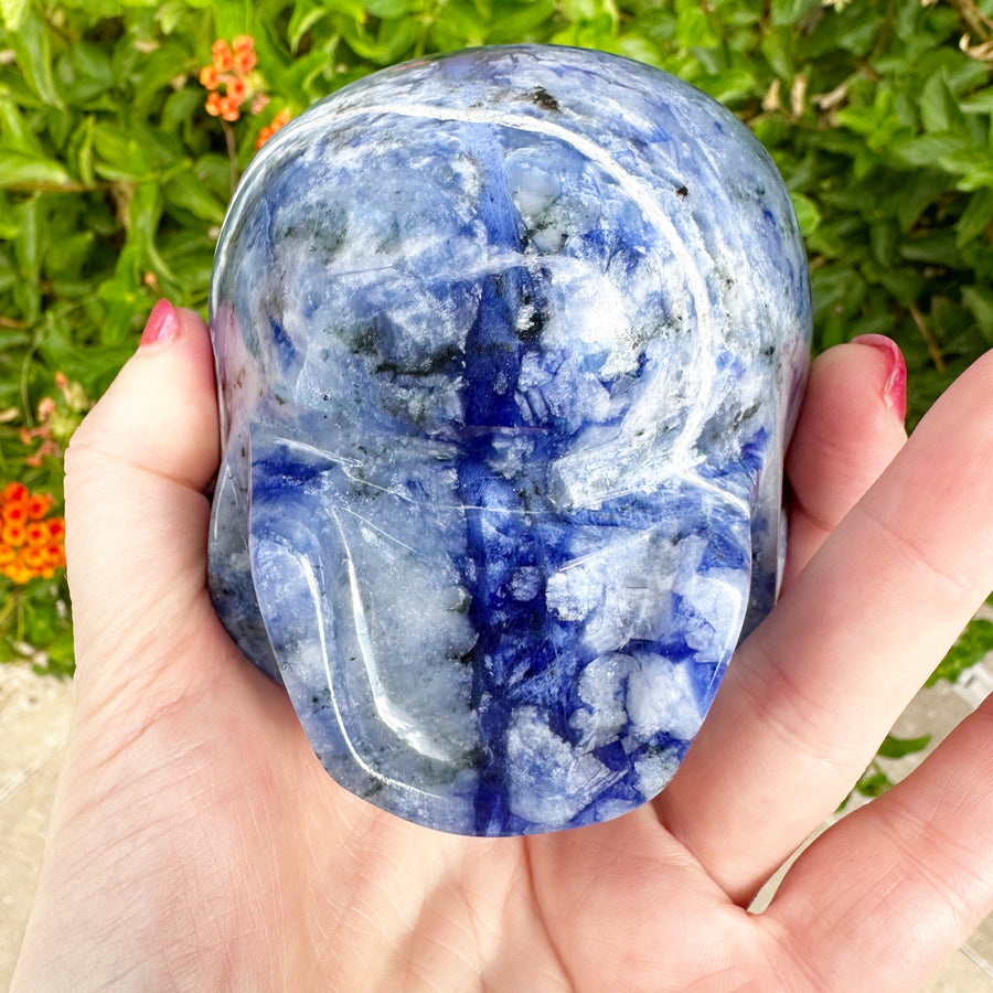 Sodalite Star Child Crystal Skull Carved by Leandro de Souza