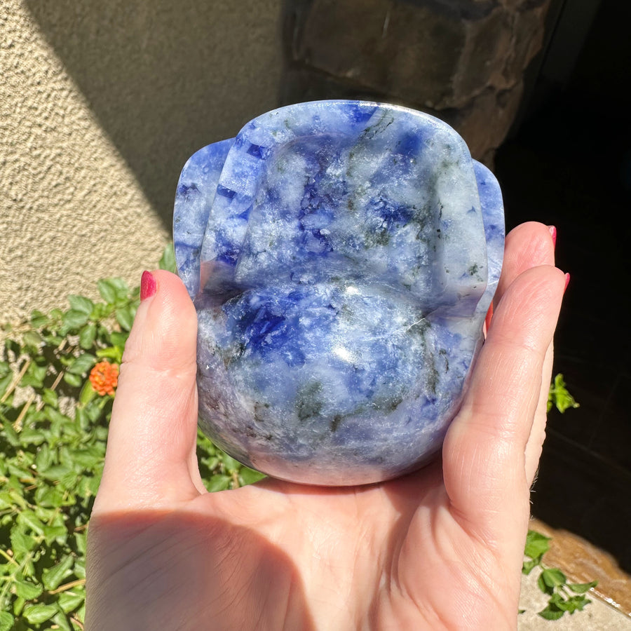 Sodalite Magical Child Crystal Skull Carved by Leandro de Souza