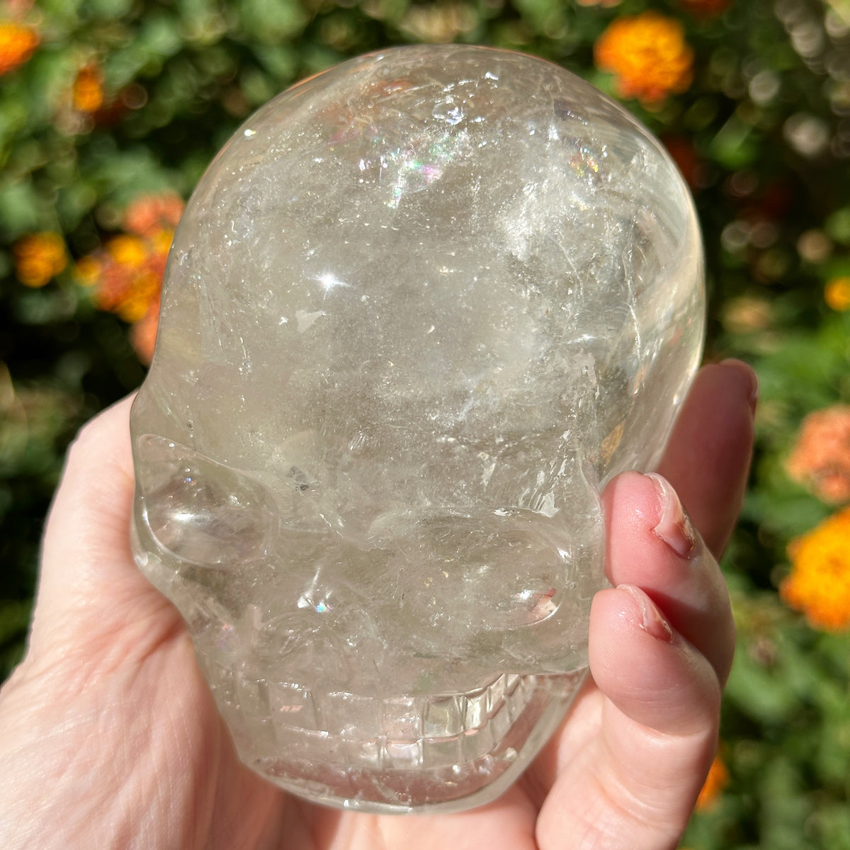 Lemurian Crystal Skull with Rainbows Carved by Leandro de Souza