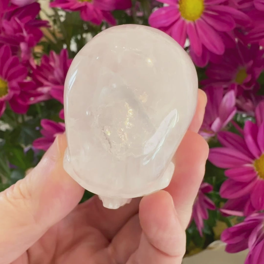 Quartz Crystal Skull Small