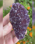 Amethyst Geode Raw