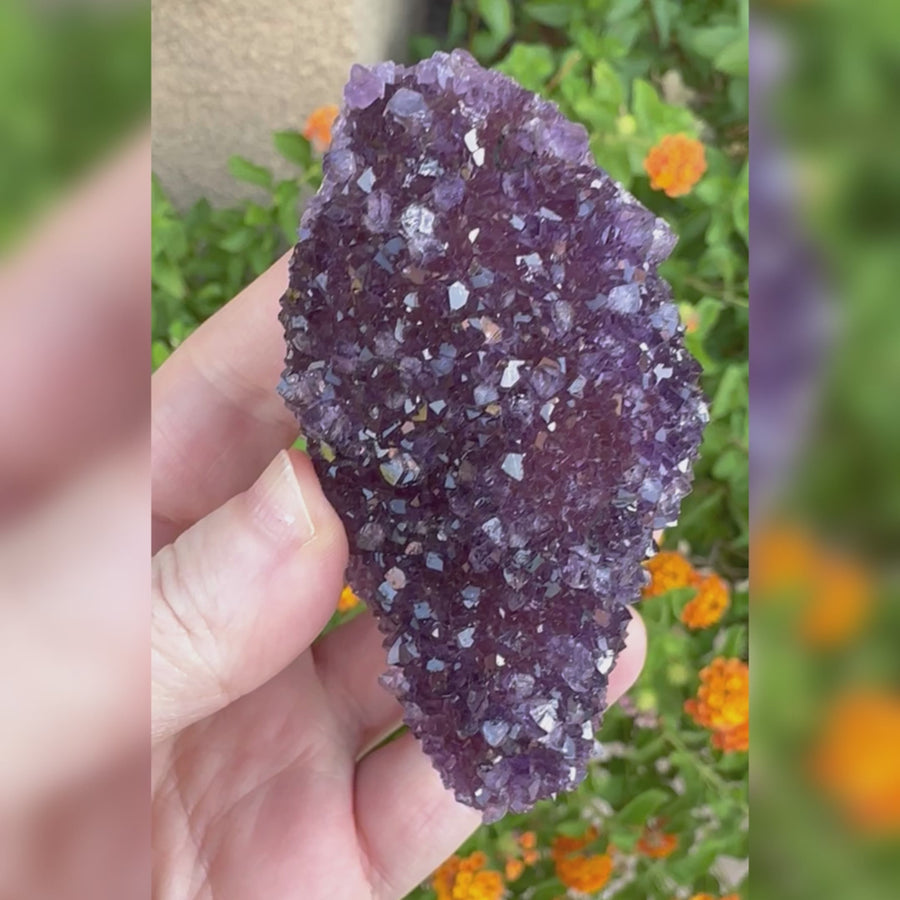Amethyst Geode Raw