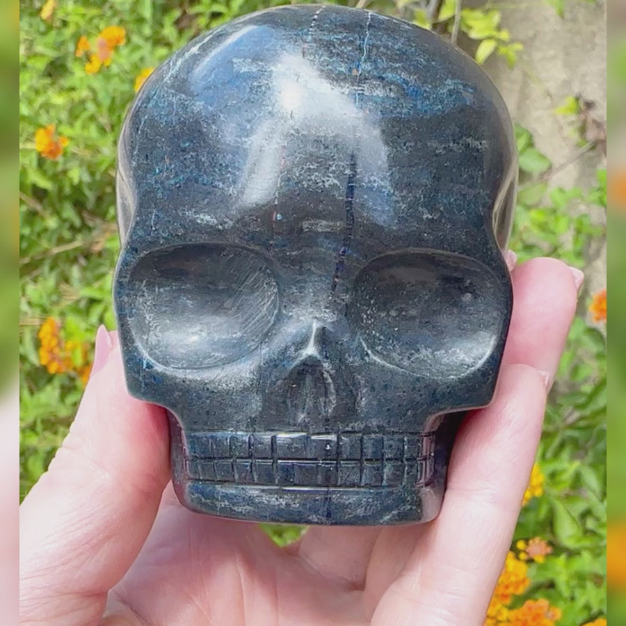 Blue Richterite Magical Child Crystal Skull Carved by Leandro de Souza