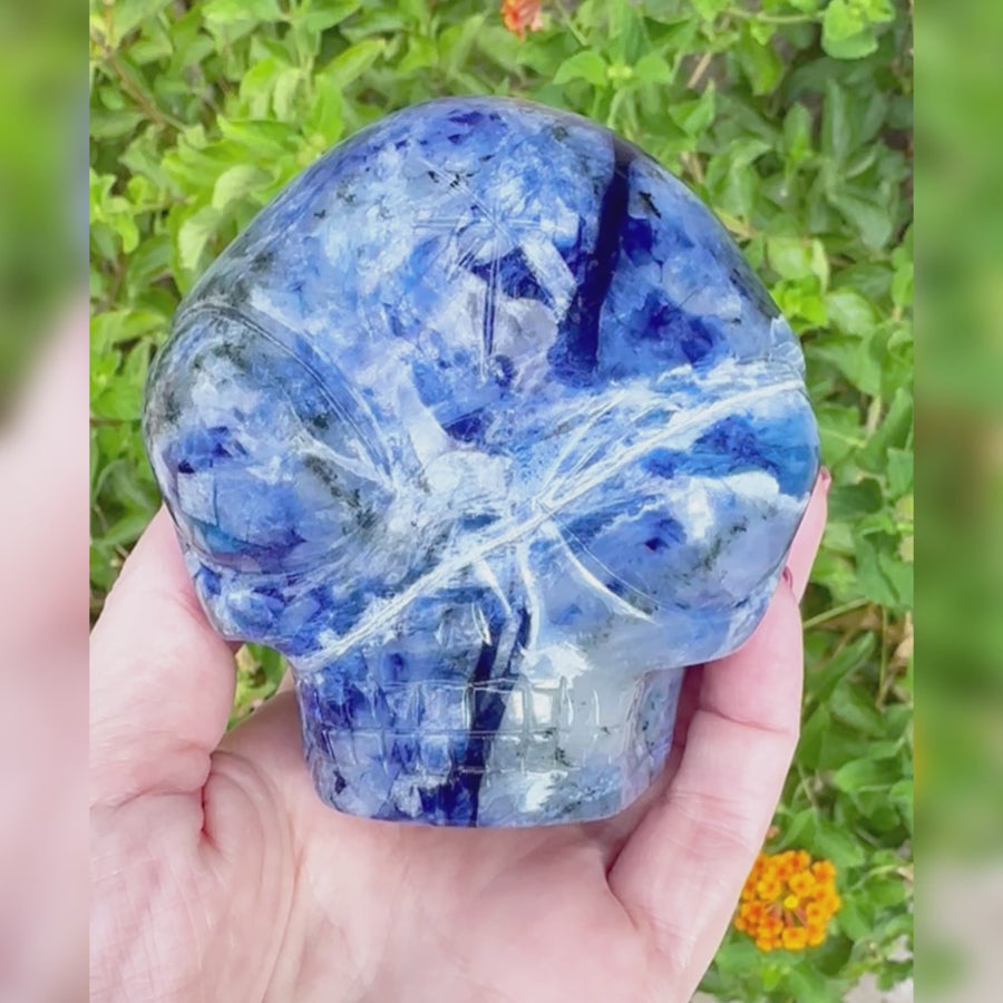 Sodalite Star Child Crystal Skull Carved by Leandro de Souza