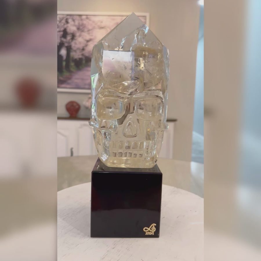 Circle 100-1 Angel Wing Citrine Master Flame Crystal Skull Carved by Leandro de Souza with Rainbows