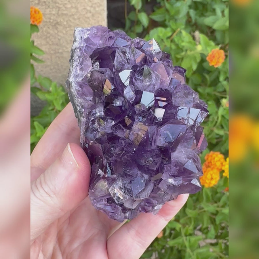 Amethyst Geode Raw