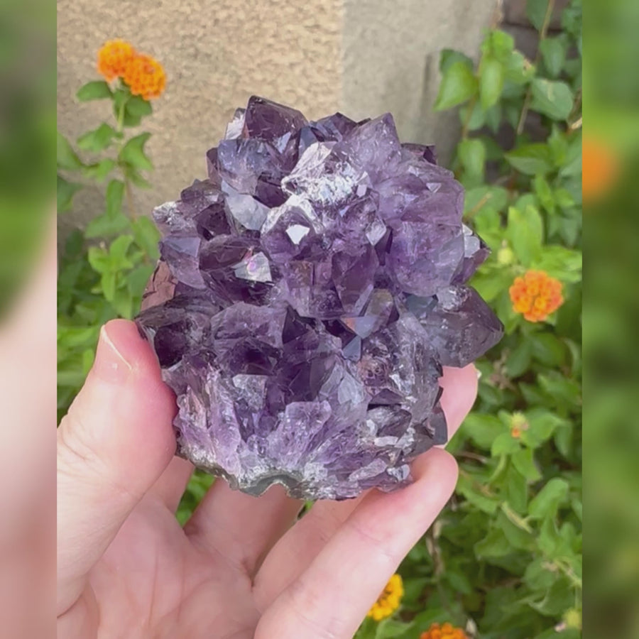 Amethyst Geode Raw Flower